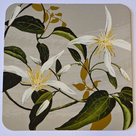 White Collection Coasters