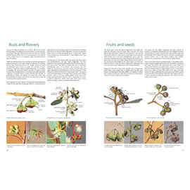 Eucalypts of WA: SW Coast and Ranges 2nd Ed