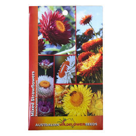Mixed Strawflowers Seeds