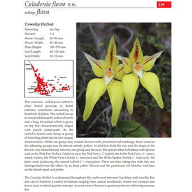 Orchids of SW Australia 4th Ed