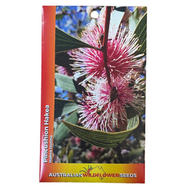 Pin-cushion Hakea Seeds
