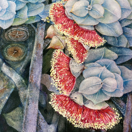 Ltd Ed Print -Rose Mallee Art Print