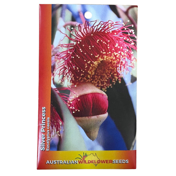 Gungurru Silver Princess Seeds