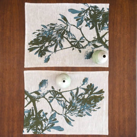 Coast Banksia Placemats