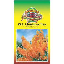 Western Australian Christmas Tree Seeds