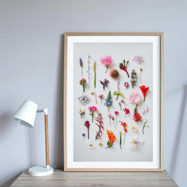 Garden Foraging Print