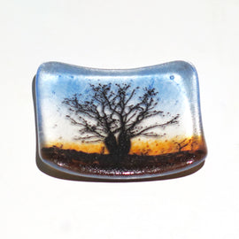 Boab Tree Glass Plate
