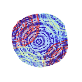 Magnet - Artwork by Cecelia Tigan