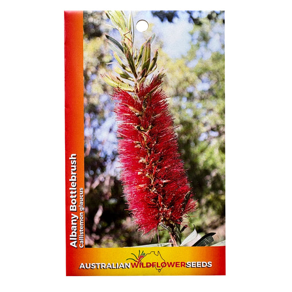 Albany Bottlebrush Seeds