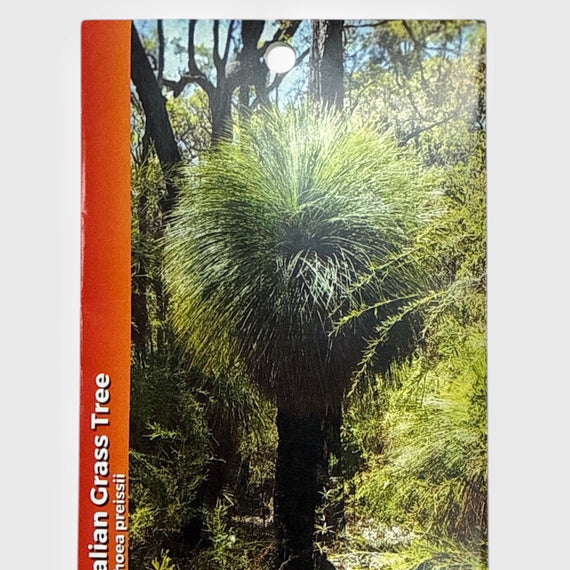 Australian Wildflower Seeds packaging with an image of a grass tree and text.
