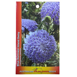 Australian Wildflower Seeds packet with blue flowers on a white background