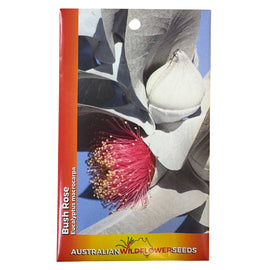 Australian Wildflower Seeds packaging with a close-up of a bush rose flower.