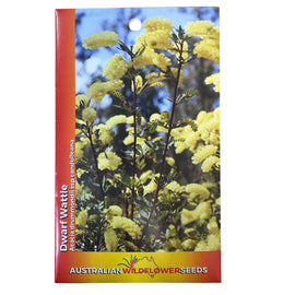 Dwarf Wattle Seeds