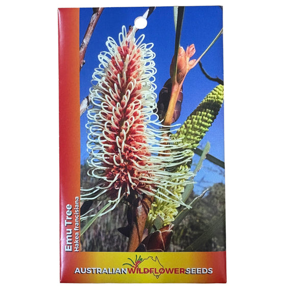 Emu Tree Seeds