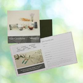 Two gift certificates with 'Aspects' branding on a blurred background