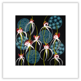 White Spider Orchid Print