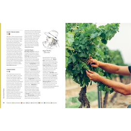 How to Drink Australian: An Essential Modern Wine Book
