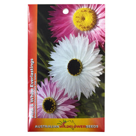 Everlastings (Pink and White) Seeds