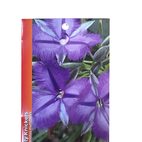 Australian Wildflower Seeds packet with purple flowers on a white background