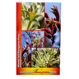 Mixed Colours Tall Kangaroo Paw Seeds