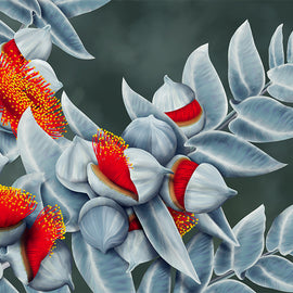 Close-up of a Eucalyptus plant with red and yellow flowers on a dark background