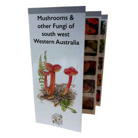 Pocket Guide - Mushrooms & Other Fungi