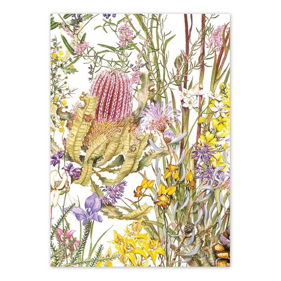 Kings Park Wildflowers Card