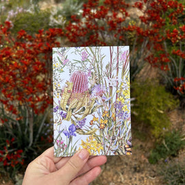 Kings Park Wildflowers Card