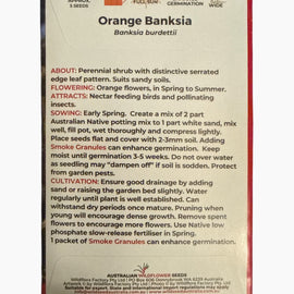 Orange Banksia seed packet with planting instructions on a white background