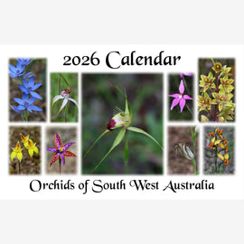 Orchids of South West Australia 2026 Calendar