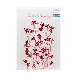 Kangaroo Paw Christmas Card by Natalie Ryan