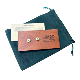 Limited Edition Chamelaucium 'White Diamond' Earrings