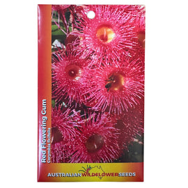 Red Flowering Gum Seeds