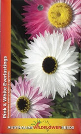 Everlastings (Pink and White) Seeds