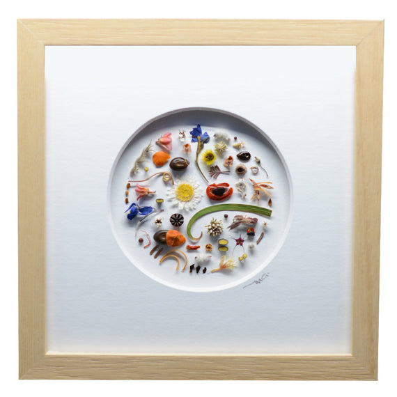 Seeds and Leaves Shadowbox Art