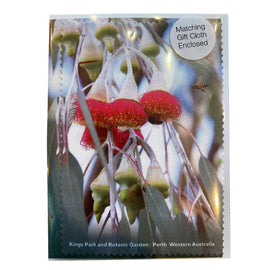 Silver Princess Greeting Card with Cloth