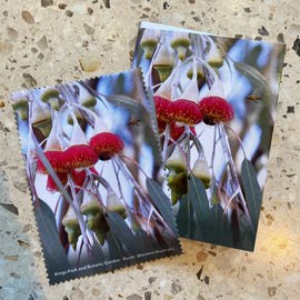 Silver Princess Greeting Card with Cloth
