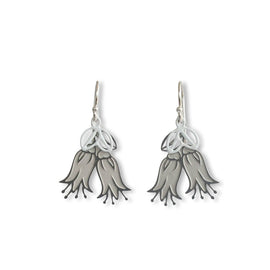 Pair of silver earrings on a white background