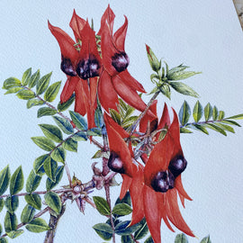 Limited Edition Print