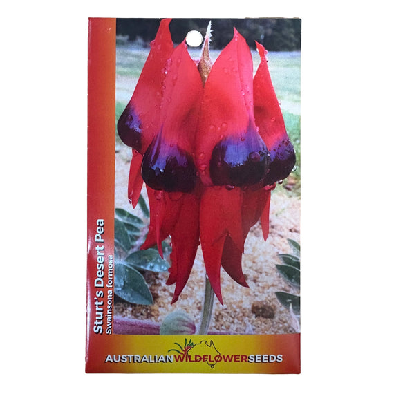 Pack of Sturt's Desert Pea seeds with red flowers on a white background