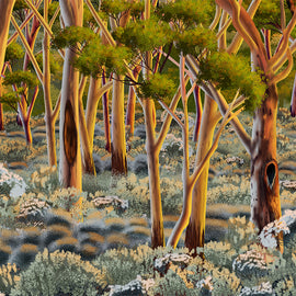 Artistic depiction of a forest with tall trees and underbrush