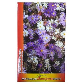Swan River Daisy Seeds
