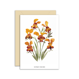 Greeting card with donkey orchid illustration and beige envelope on white background