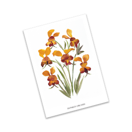 Card with illustration of donkey orchid flowers on a white background