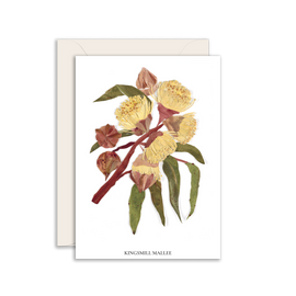 Greeting card with Kingsmill Mallee floral design on a white background