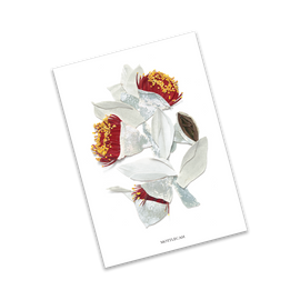 Card with floral design featuring white flowers and red centers on a white background