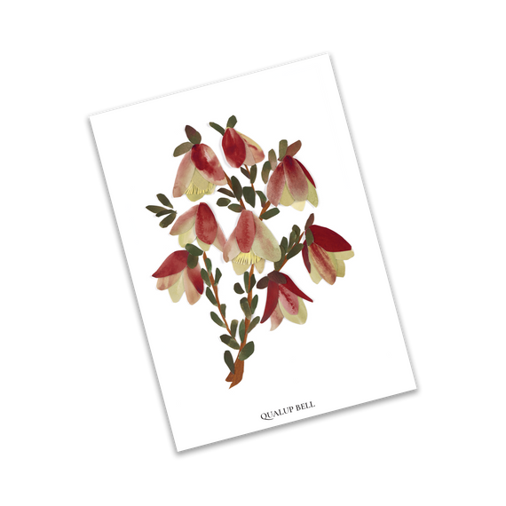 Floral illustration of Quaking Bells on a white background