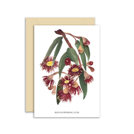 Greeting card with red flowering gum illustration and beige envelope on white background