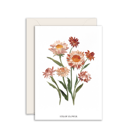 Greeting card with straw flower illustration on a white background
