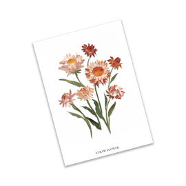 Card with illustration of straw flowers on a white background